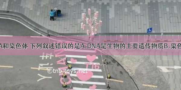 关于基因 DNA和染色体 下列叙述错误的是A.DNA是生物的主要遗传物质B.染色体是由DNA