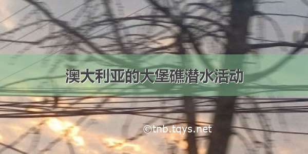 澳大利亚的大堡礁潜水活动