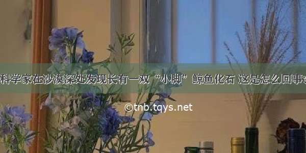 科学家在沙漠深处发现长有一双“小脚”鲸鱼化石 这是怎么回事？