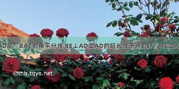 已知：如图 AD是△BAC的角平分线 BE⊥AD交AD的延长线于点E EF∥AC交AB于点F AE=8