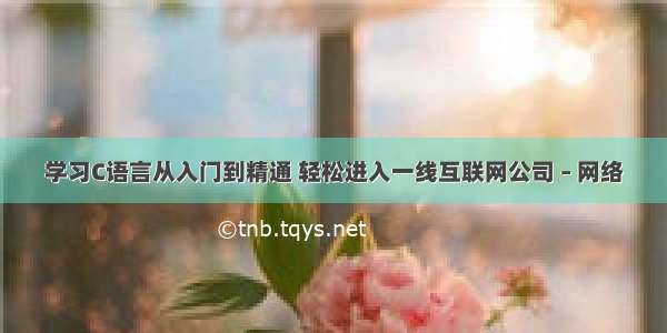 学习C语言从入门到精通 轻松进入一线互联网公司 – 网络