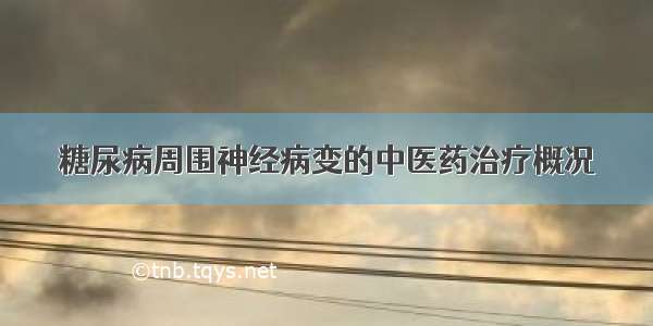 糖尿病周围神经病变的中医药治疗概况