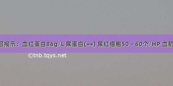 提示：检查回报示：血红蛋白86g/L 尿蛋白(++) 尿红细胞50～60个/HP 血肌酐768μmol