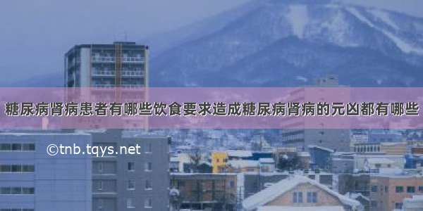 糖尿病肾病患者有哪些饮食要求造成糖尿病肾病的元凶都有哪些