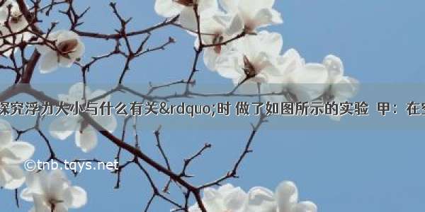 某同学在“探究浮力大小与什么有关”时 做了如图所示的实验．甲：在空气中测石块所受