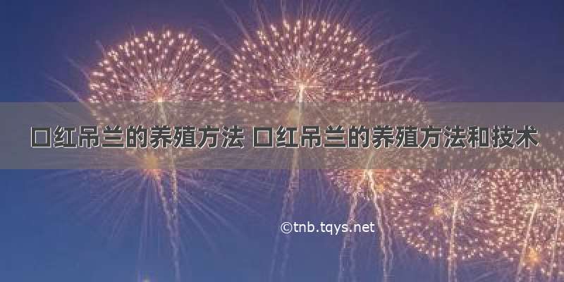 口红吊兰的养殖方法 口红吊兰的养殖方法和技术