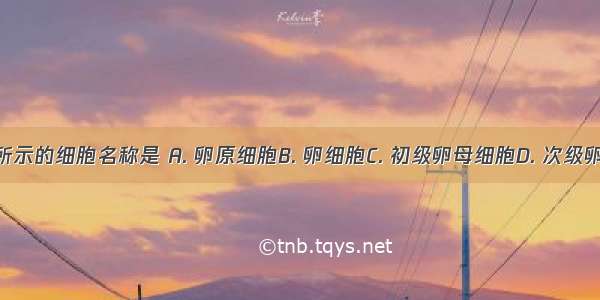 如右图所示的细胞名称是 A. 卵原细胞B. 卵细胞C. 初级卵母细胞D. 次级卵母细胞