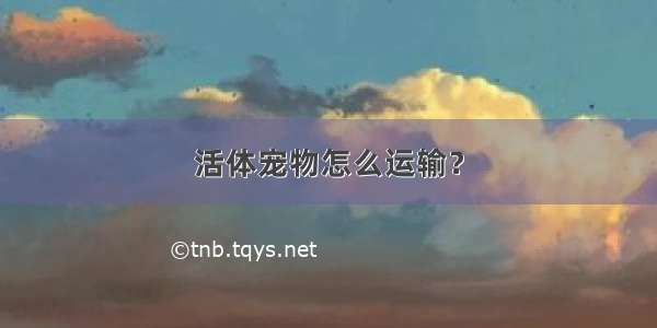 活体宠物怎么运输？