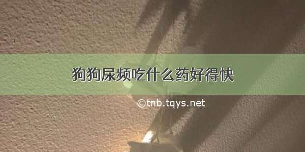 狗狗尿频吃什么药好得快