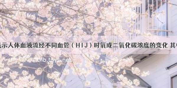 如图曲线表示人体血液流经不同血管（H I J）时氧或二氧化碳浓度的变化 其中H为肺动