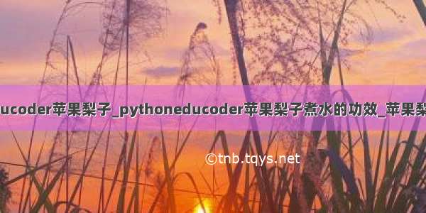 python educoder苹果梨子_pythoneducoder苹果梨子煮水的功效_苹果梨子汤的功效