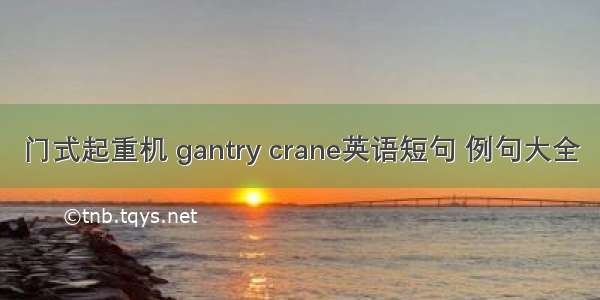 门式起重机 gantry crane英语短句 例句大全