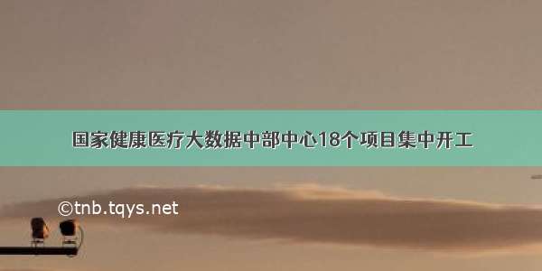 国家健康医疗大数据中部中心18个项目集中开工