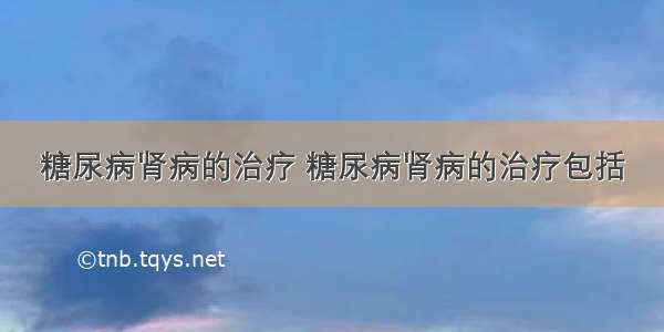 糖尿病肾病的治疗 糖尿病肾病的治疗包括