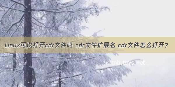 Linux可以打开cdr文件吗 cdr文件扩展名 cdr文件怎么打开？