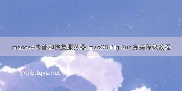 macos+未能和恢复服务器 macOS Big Sur 完美降级教程