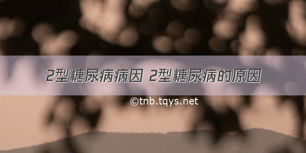 2型糖尿病病因 2型糖尿病的原因