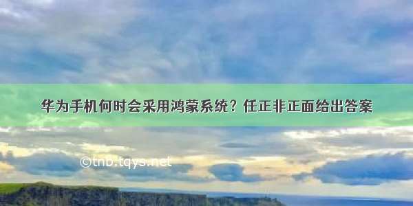 华为手机何时会采用鸿蒙系统？任正非正面给出答案