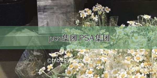 psa集团 PSA集团