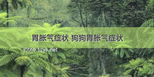 胃胀气症状 狗狗胃胀气症状