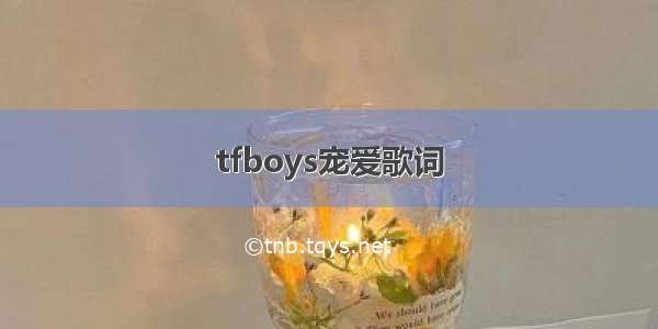 tfboys宠爱歌词