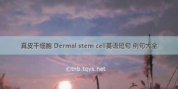 真皮干细胞 Dermal stem cell英语短句 例句大全