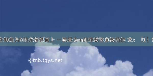 如图所示 在倾角为θ的光滑斜面上 一质量为m的球被竖直板挡住 求：（1）球对挡板和