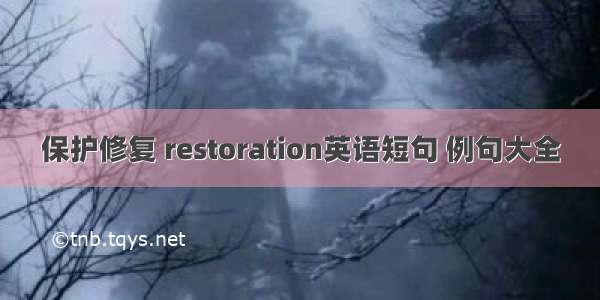 保护修复 restoration英语短句 例句大全