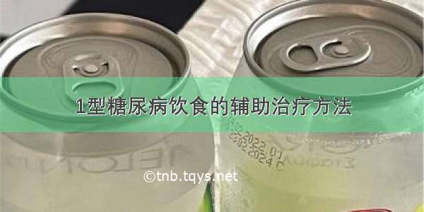 1型糖尿病饮食的辅助治疗方法