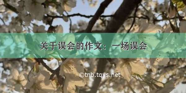 关于误会的作文：一场误会