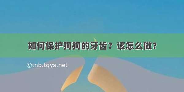 如何保护狗狗的牙齿？该怎么做？