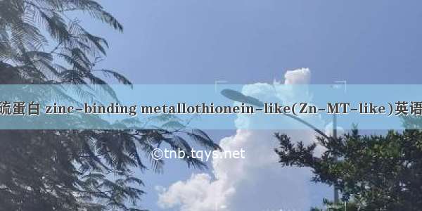 锌结合类金属硫蛋白 zinc-binding metallothionein-like(Zn-MT-like)英语短句 例句大全