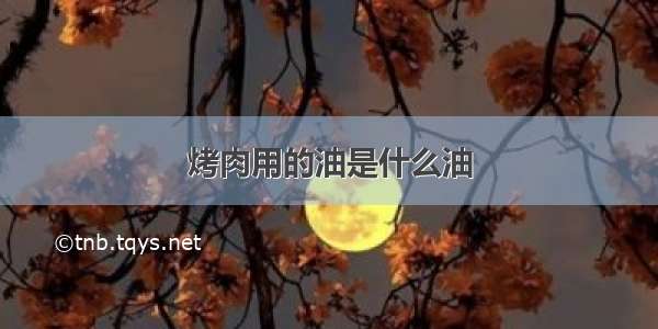 烤肉用的油是什么油