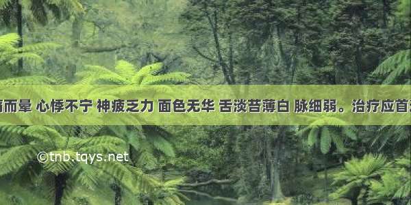 患者头痛而晕 心悸不宁 神疲乏力 面色无华 舌淡苔薄白 脉细弱。治疗应首选A.半夏