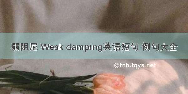 弱阻尼 Weak damping英语短句 例句大全