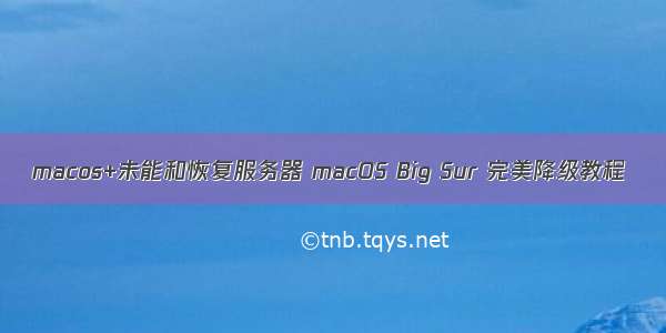 macos+未能和恢复服务器 macOS Big Sur 完美降级教程