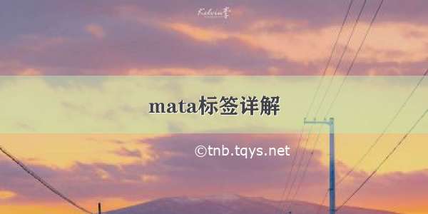 mata标签详解