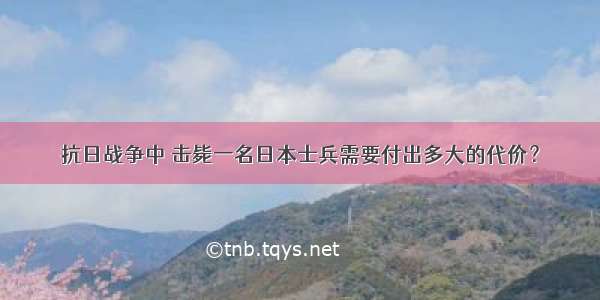 抗日战争中 击毙一名日本士兵需要付出多大的代价？