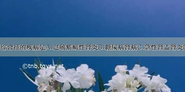 不能引起肾病综合征的疾病是A.过敏紫癜性肾炎B.糖尿病肾病C.急性肾盂肾炎D.肾淀粉样变