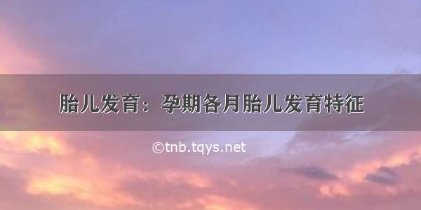 胎儿发育：孕期各月胎儿发育特征