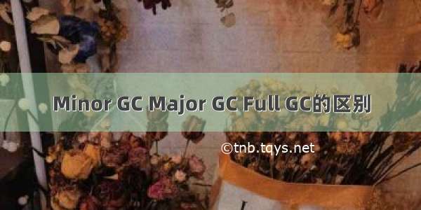 Minor GC Major GC Full GC的区别