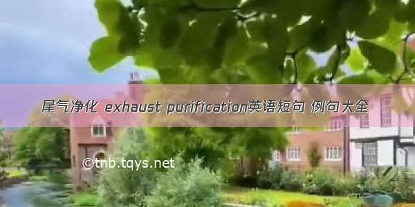 尾气净化 exhaust purification英语短句 例句大全