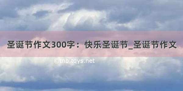 圣诞节作文300字：快乐圣诞节_圣诞节作文