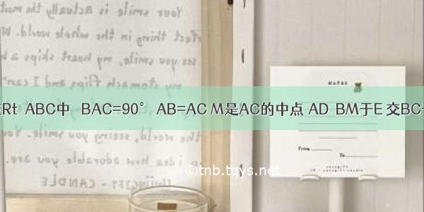 如图 已知在Rt△ABC中 ∠BAC=90° AB=AC M是AC的中点 AD⊥BM于E 交BC于D点．（1