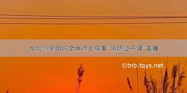 大坝小学组织全体师生观看“消防公开课”直播