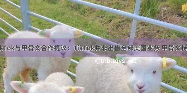 英媒曝TikTok与甲骨文合作提议：TikTok并非出售全部美国业务 甲骨文持少数股权