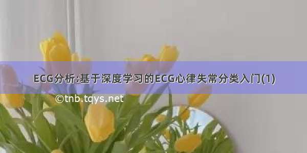 ECG分析:基于深度学习的ECG心律失常分类入门(1)