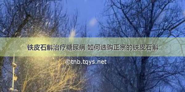 铁皮石斛治疗糖尿病 如何选购正宗的铁皮石斛