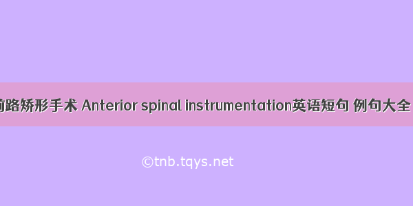 前路矫形手术 Anterior spinal instrumentation英语短句 例句大全