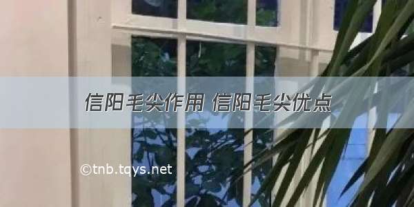 信阳毛尖作用 信阳毛尖优点